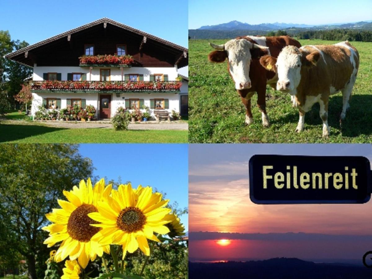 Fembacherhof Siegsdorf Dış mekan fotoğraf