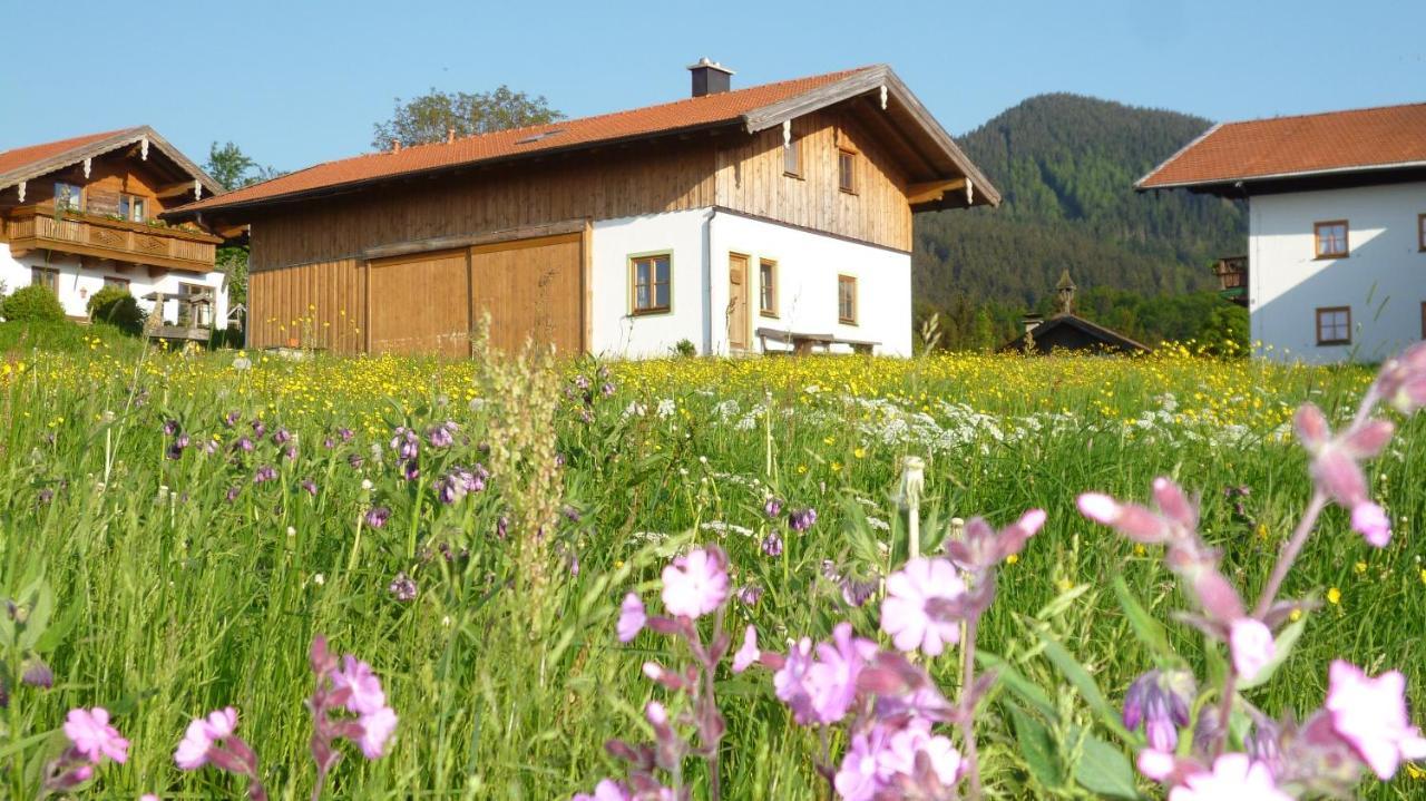 Fembacherhof Siegsdorf Dış mekan fotoğraf