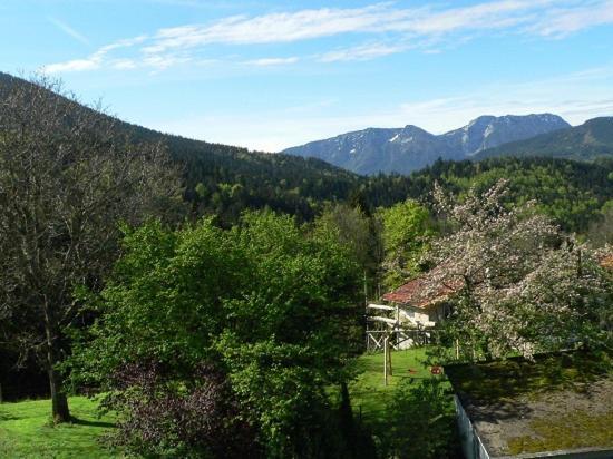 Fembacherhof Siegsdorf Dış mekan fotoğraf